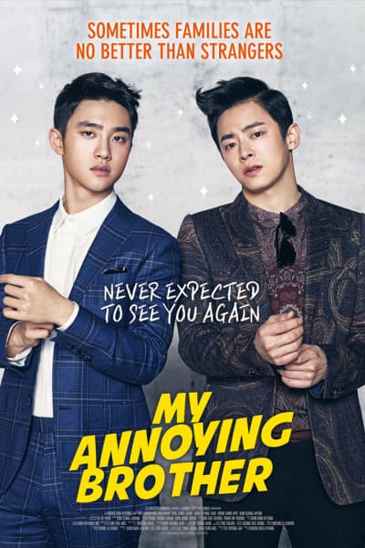 My Annoying Brother